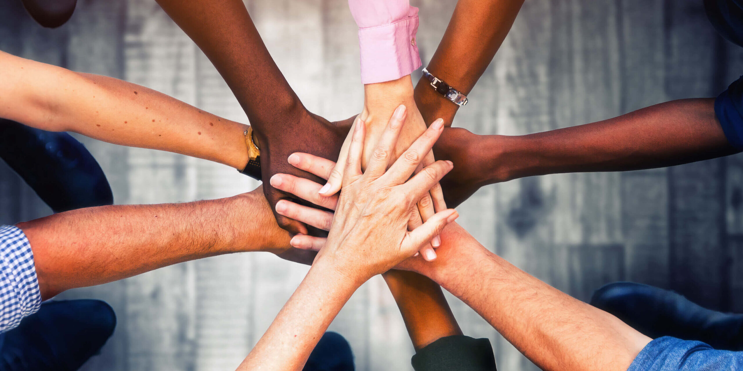 AdobeStock_348926864 (1)