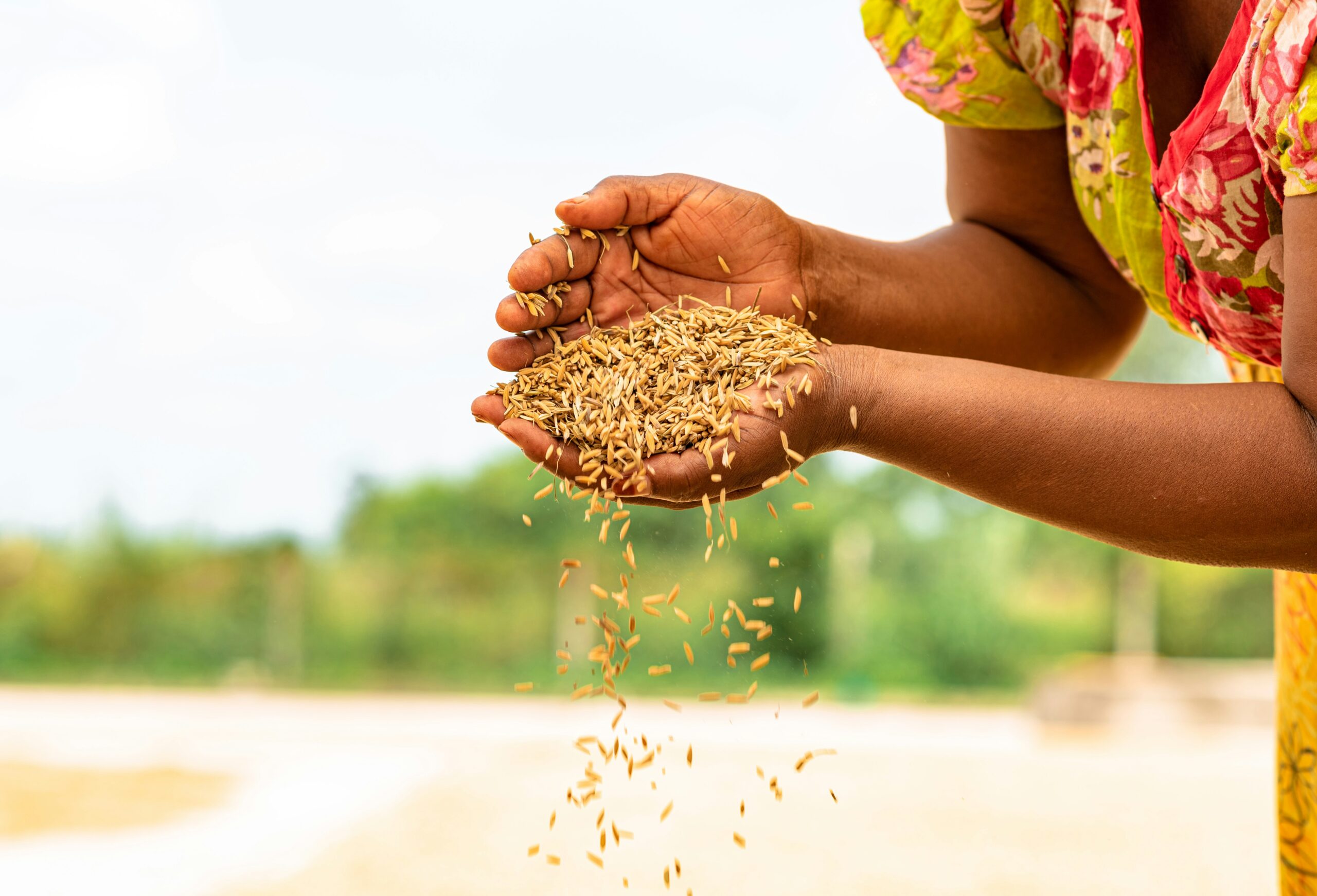 Food Systems for People and Planet: How True Cost Accounting can offer a Roadmap toward Solutions