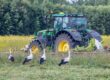 A tractor in field with oil seed rape, a wildflower border, and four storks.
